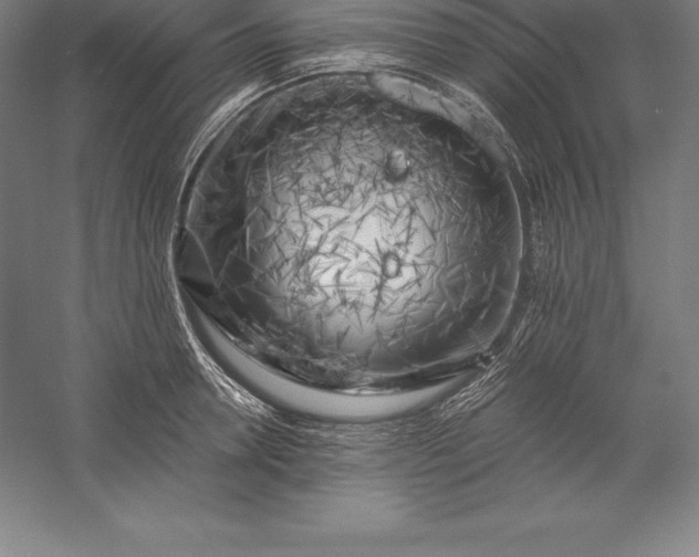 X0000056340946200509091526