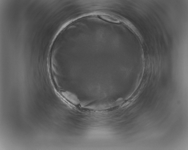 X0000056340958200509091527