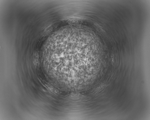 X0000056340964200509091526