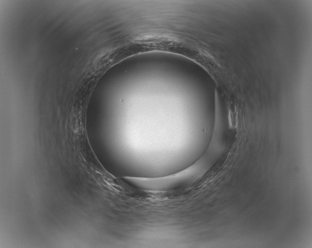 X0000056340965200509091526