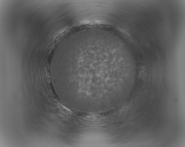 X0000056340966200509091526
