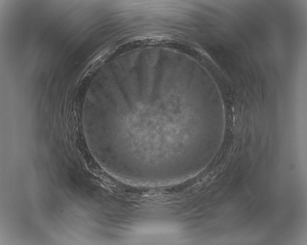 X0000056340967200509091526