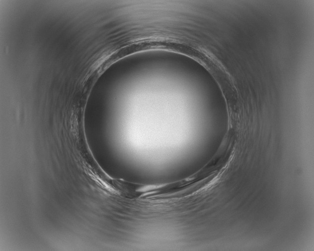 X0000056340969200509091526