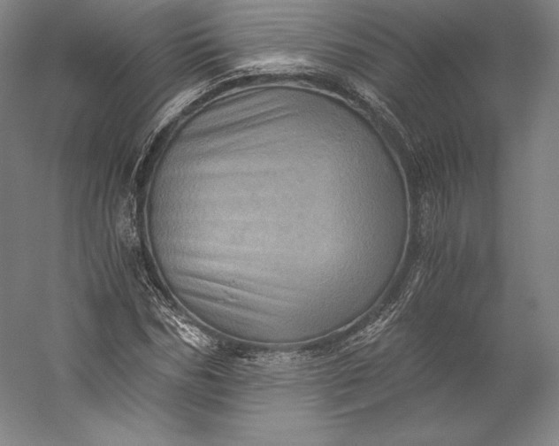 X0000056340970200509091526