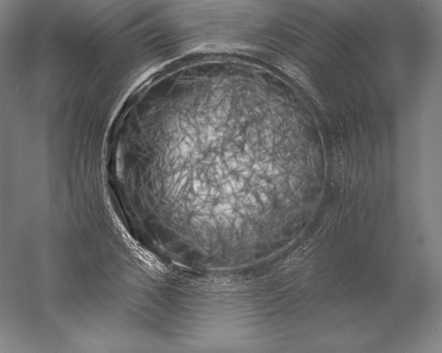 X0000056340976200509091526