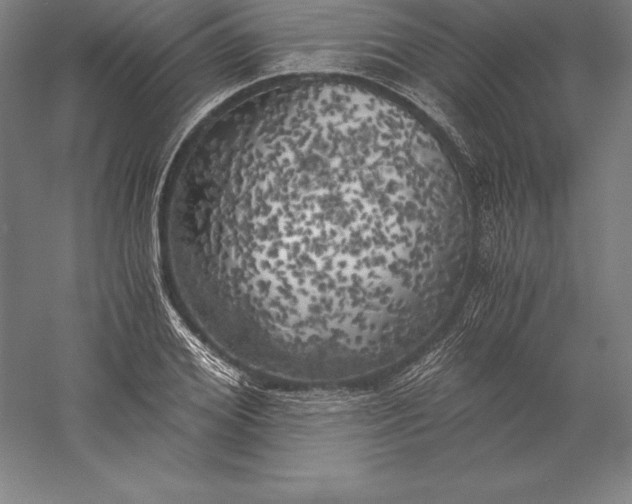 X0000056340980200509091526