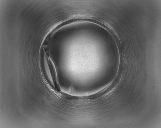 X0000056340981200509091526