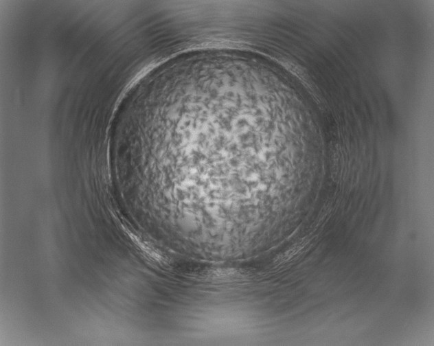X0000056340982200509091526