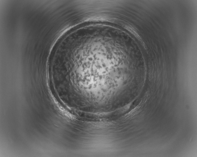 X0000056340984200509091526