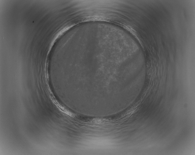 X0000056340987200509091525