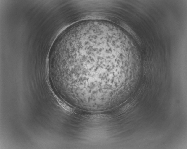 X0000056340988200509091525