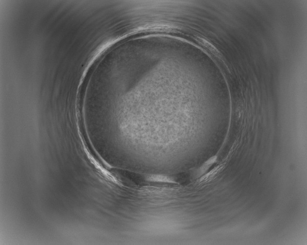 X0000056340989200509091525