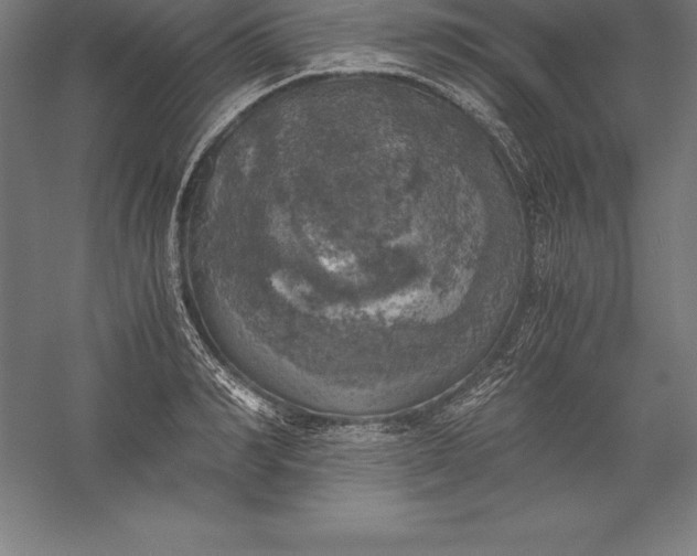 X0000056340990200509091525