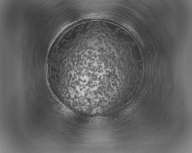 X0000056340992200509091525