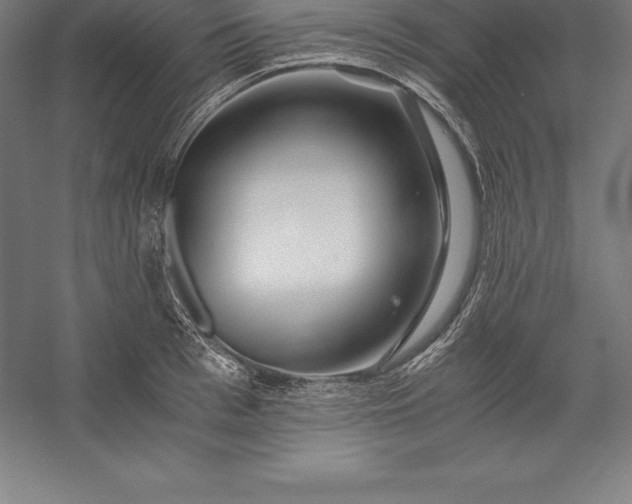X0000056340993200509091525