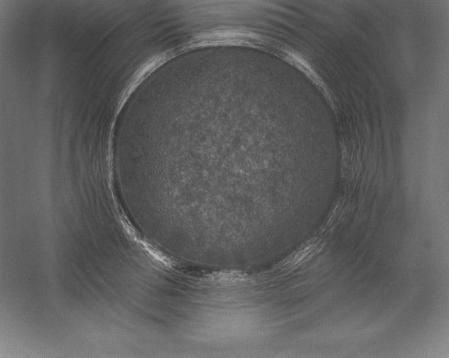 X0000056340994200509091525