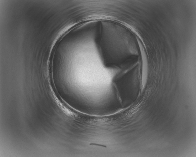 X0000056340995200509091525