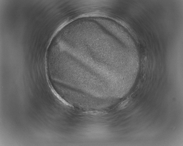 X0000056340998200509091525