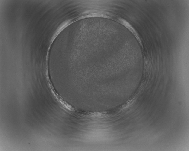 X0000056341002200509091525