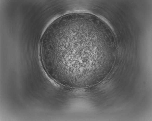 X0000056341006200509091525