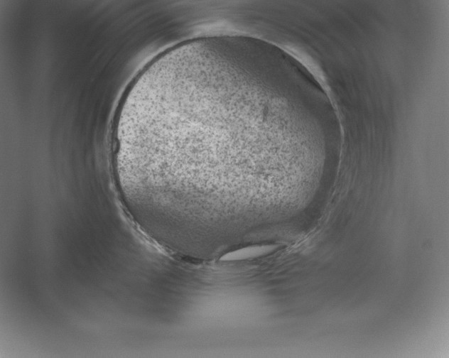 X0000056341008200509091525