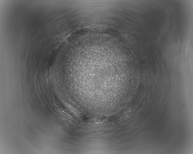 X0000056341010200509091524