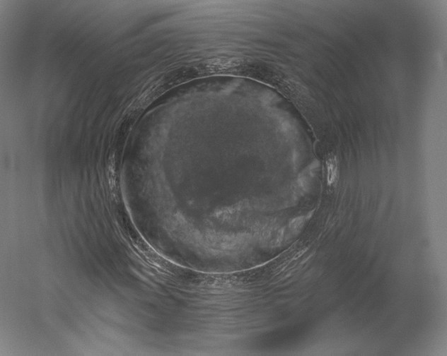 X0000056341011200509091524
