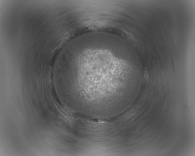 X0000056341012200509091524