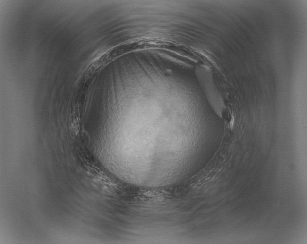 X0000056341015200509091524