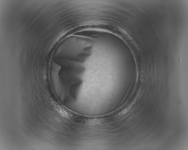 X0000056341017200509091524