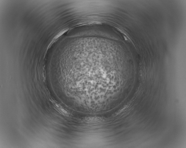 X0000056341018200509091524