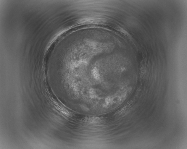 X0000056341019200509091524