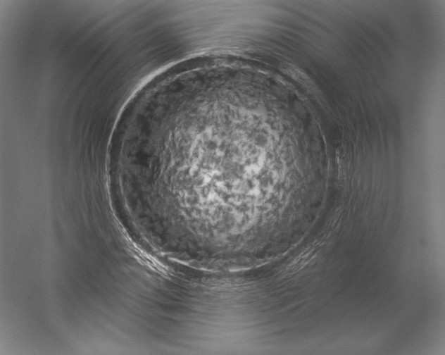 X0000056341020200509091524