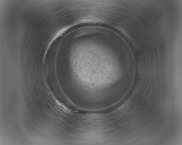 X0000056341022200509091525