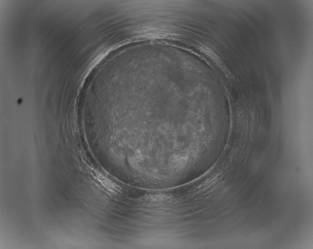 X0000056341023200509091525