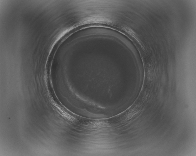 X0000056341024200509091525