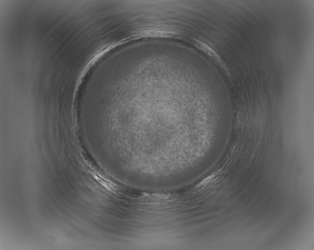 X0000056341027200509091525