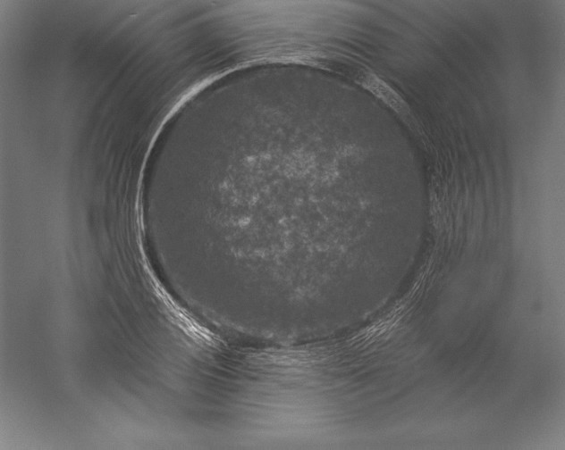 X0000056341028200509091525