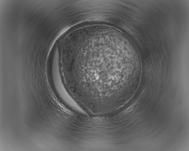 X0000056341029200509091525