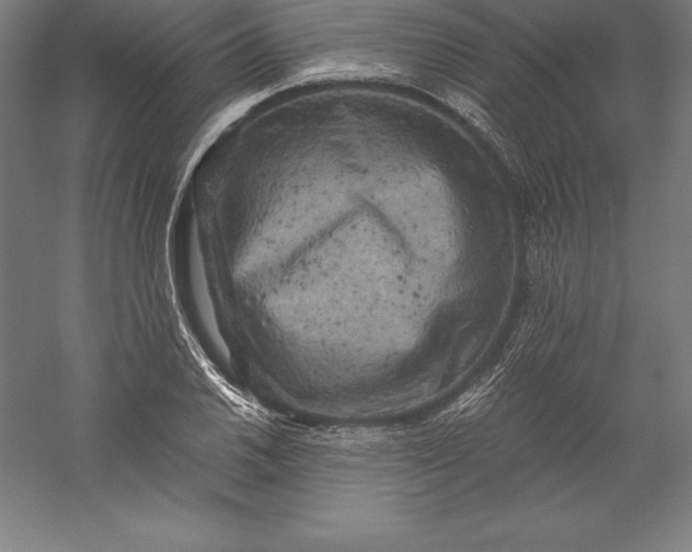 X0000056341030200509091525