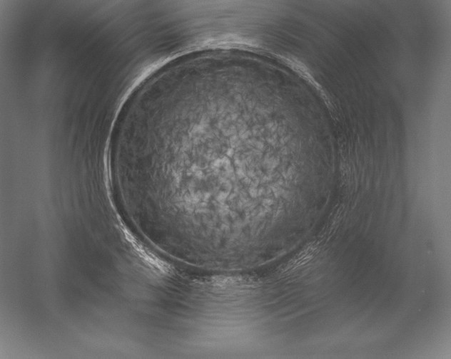 X0000056341032200509091525