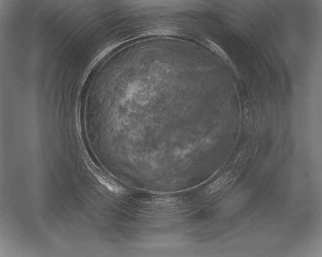 X0000056341035200509091525