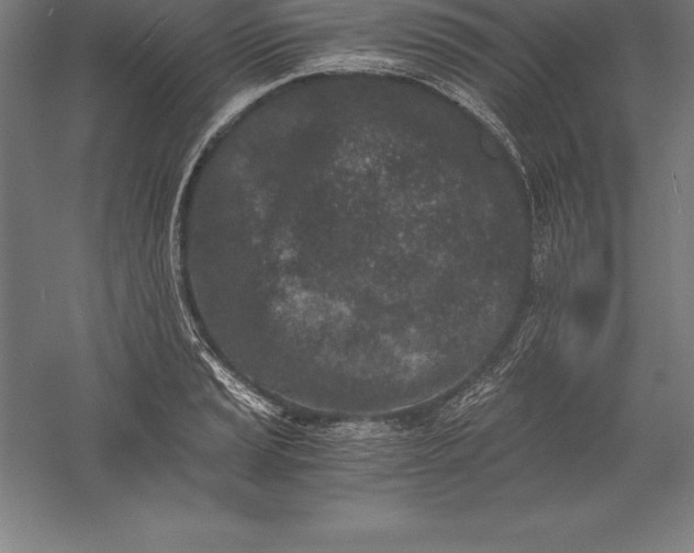 X0000056341037200509091525
