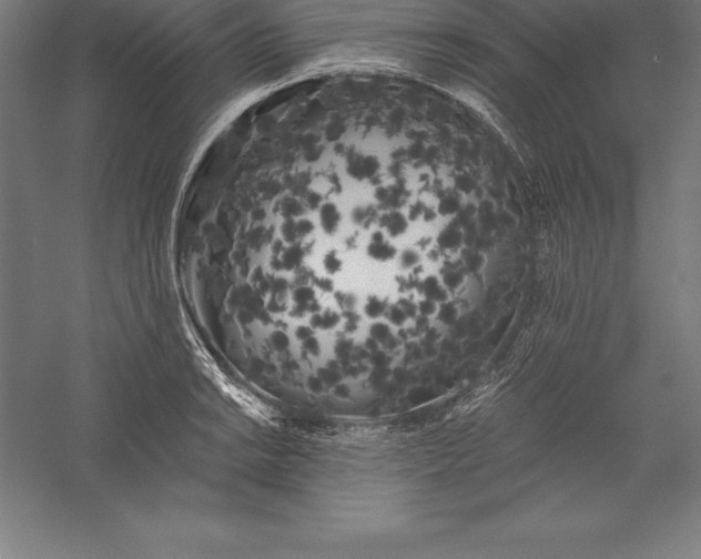X0000056341038200509091525
