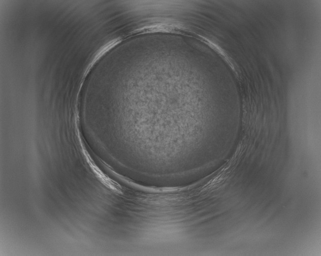 X0000056341042200509091525