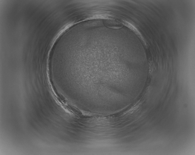 X0000056341043200509091525