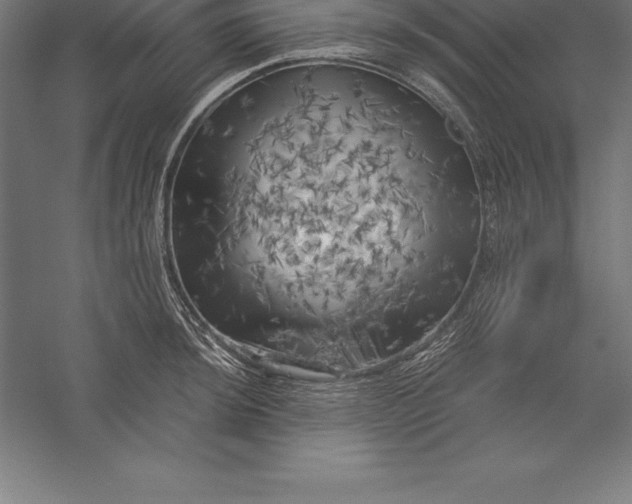 X0000056341044200509091525