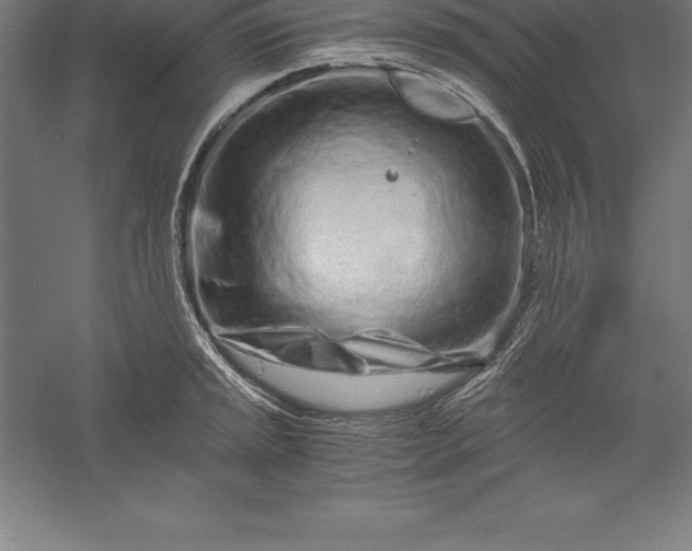 X0000056341045200509091525