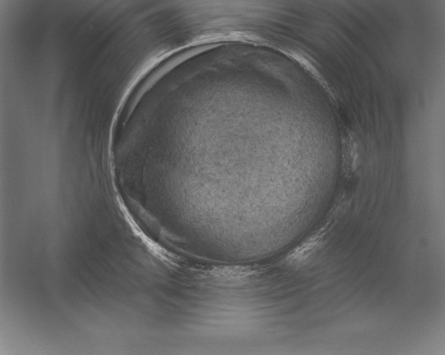 X0000056341046200509091525