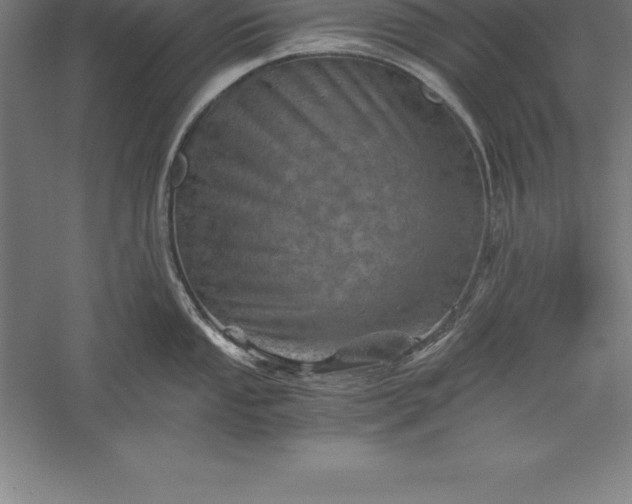 X0000056341053200509091525